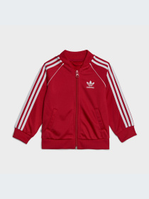 Спортивный костюм Adidas Adicolor модель IB8633 Фото