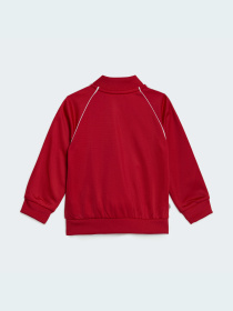 Спортивный костюм Adidas Adicolor модель IB8633 Фото