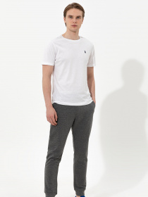 Брюки повседневные US Polo модель G081SZ0OP.000.1350355.VR081 Фото