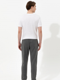 Повседневные штаны US Polo модель G081SZ0OP.000.1350355.VR081 Повседневные штаны US Polo модель G081SZ0OP.000.1350355.VR081 Фото