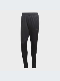 Спортивні штани Adidas Tiro модель HS3530 Спортивні штани Adidas Tiro модель HS3530 Фото