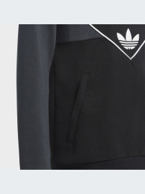 Худи Adidas Adicolor модель IC6228 Фото