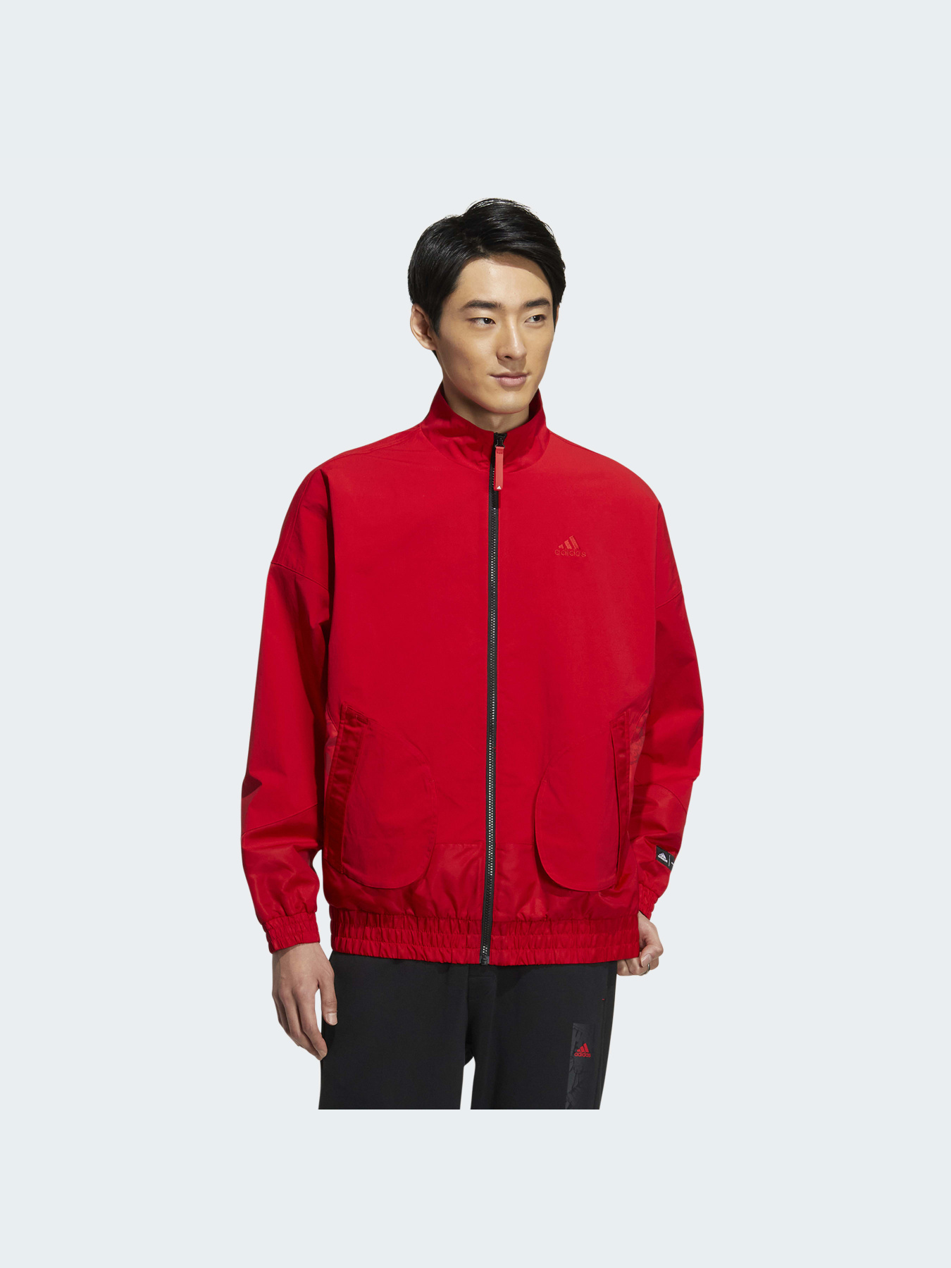 Вітровка Adidas модель HZ3039 Фото