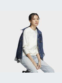 Кофта спортивная Adidas Graphics модель HZ3004 Фото