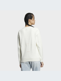 Спортивная кофта Adidas Graphics модель HZ3004 Фото