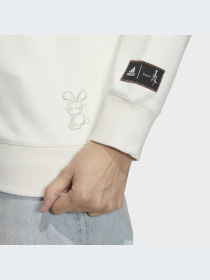 Спортивная кофта Adidas Graphics модель HZ3004 Фото