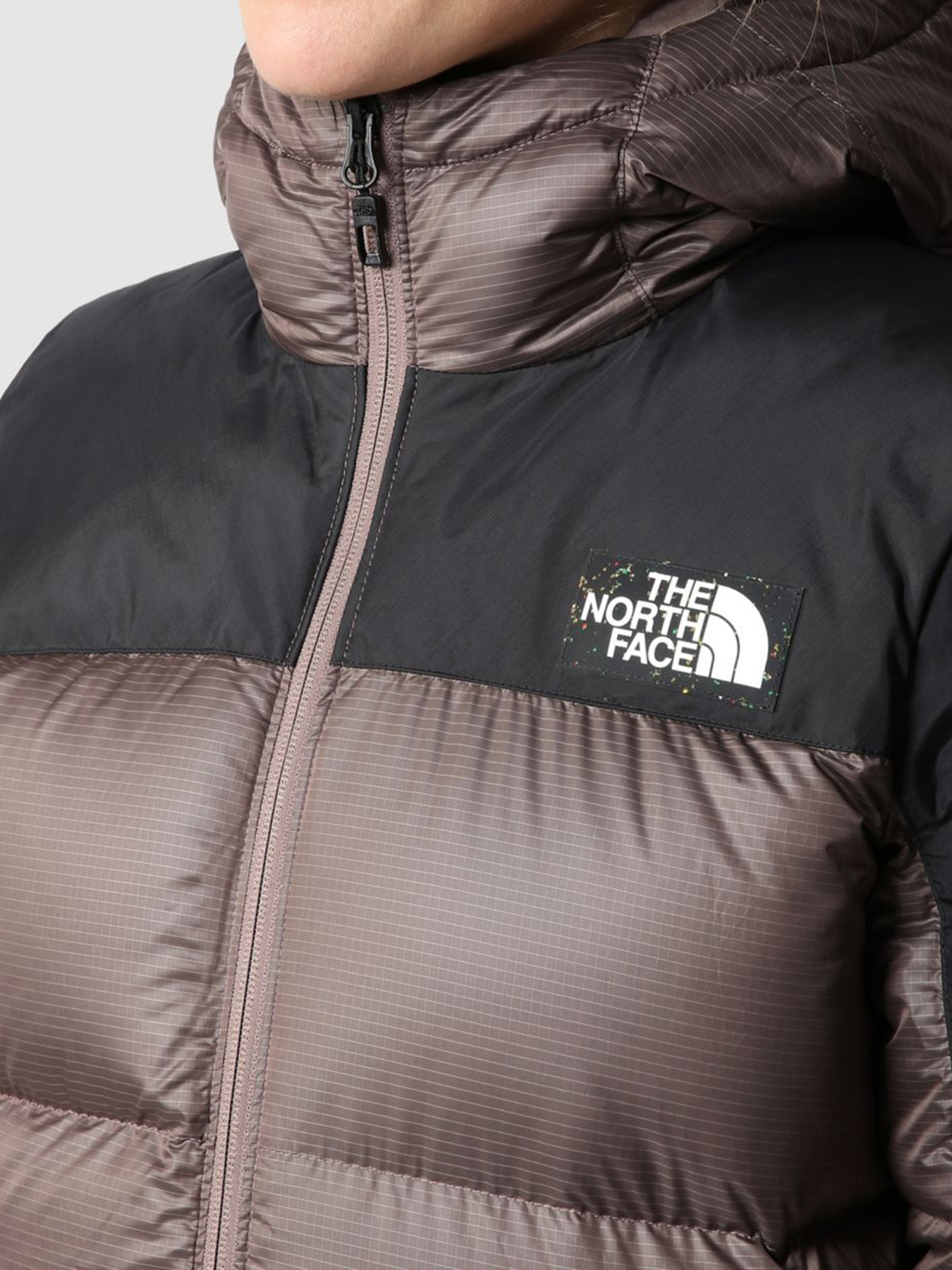Куртки и дубленки The North Face модель NF0A7ZGF7T41 Фото