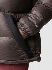 Куртки и дубленки The North Face модель NF0A7ZGF7T41 Фото