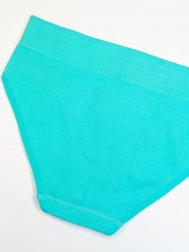 Трусы ISSA Plus модель BL2-618_turquoise Фото