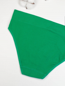 Труси ISSA Plus модель BL2-618_green Фото