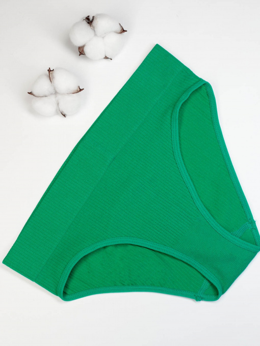 Трусы ISSA Plus модель BL2-618_green Фото