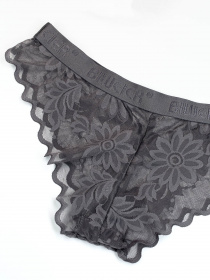 Трусы ISSA Plus модель BL2-833_grey Фото