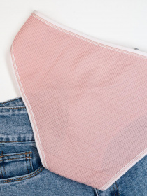 Трусы ISSA Plus модель BL2-838_pink Фото