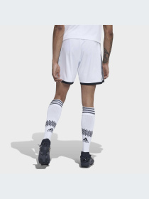 Спортивні шорти Adidas модель H38904 Фото
