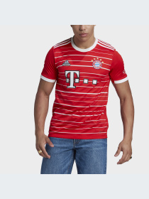 Спортивна футболка Adidas модель H39900 Фото