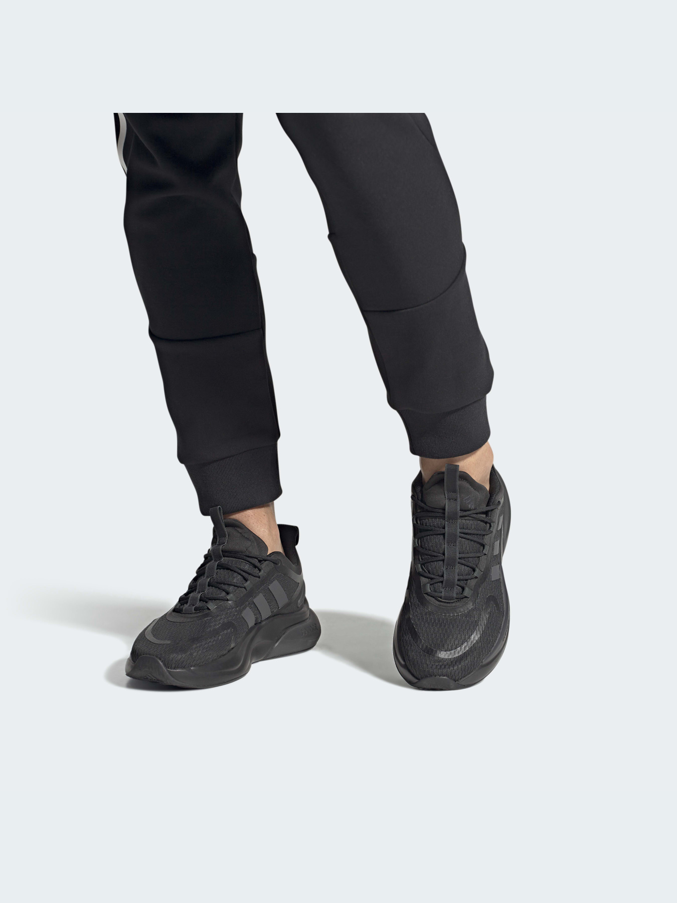 Кроссовки Adidas Alphabounce модель HP6142 Фото