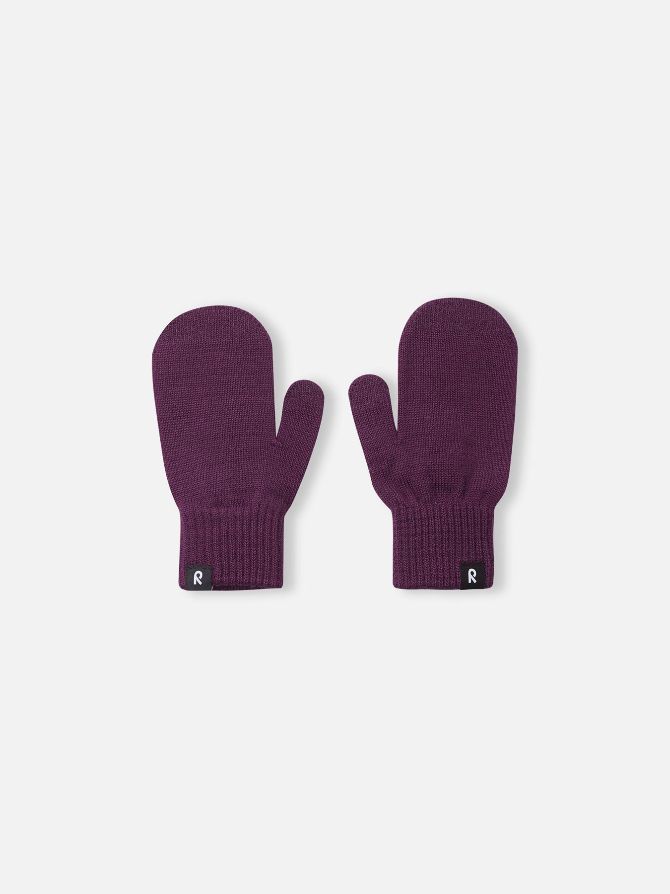 Варежки REIMA модель 5300053A-4960 Фото