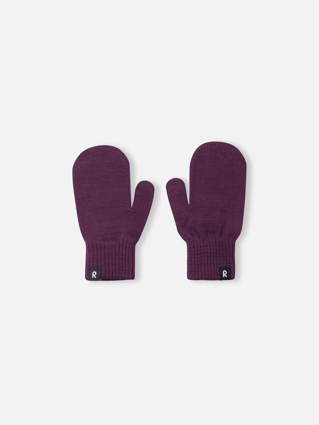 Рукавиці REIMA модель 5300053A-4960 Фото