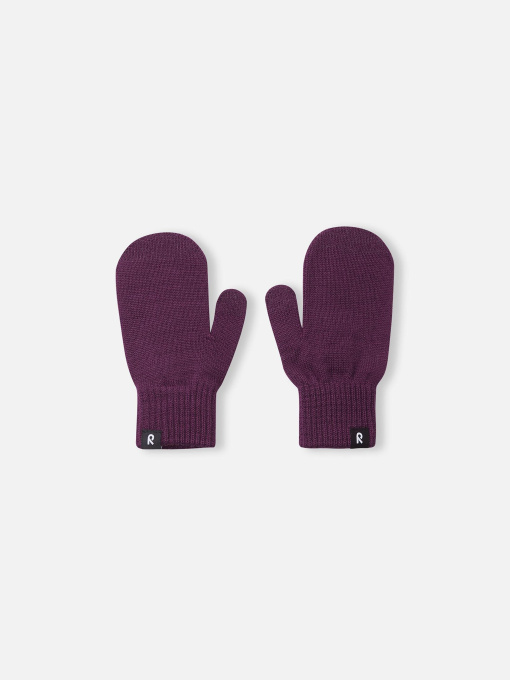 Рукавиці REIMA модель 5300053A-4960 Фото