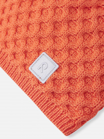 Шапка REIMA модель 5300066A-2680 Фото