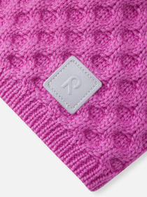 Шапка REIMA модель 5300066A-4810 Фото