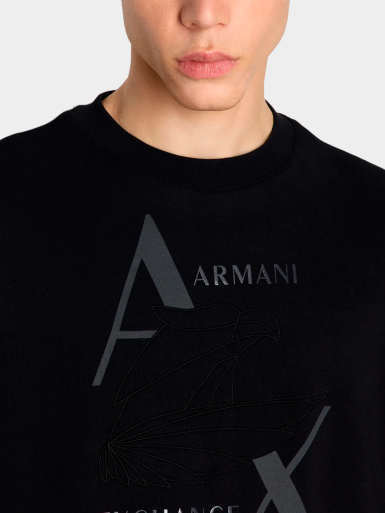 Худи и свитшоты Armani Exchange модель 6RZMAM-ZJ9KZ-1200 Фото