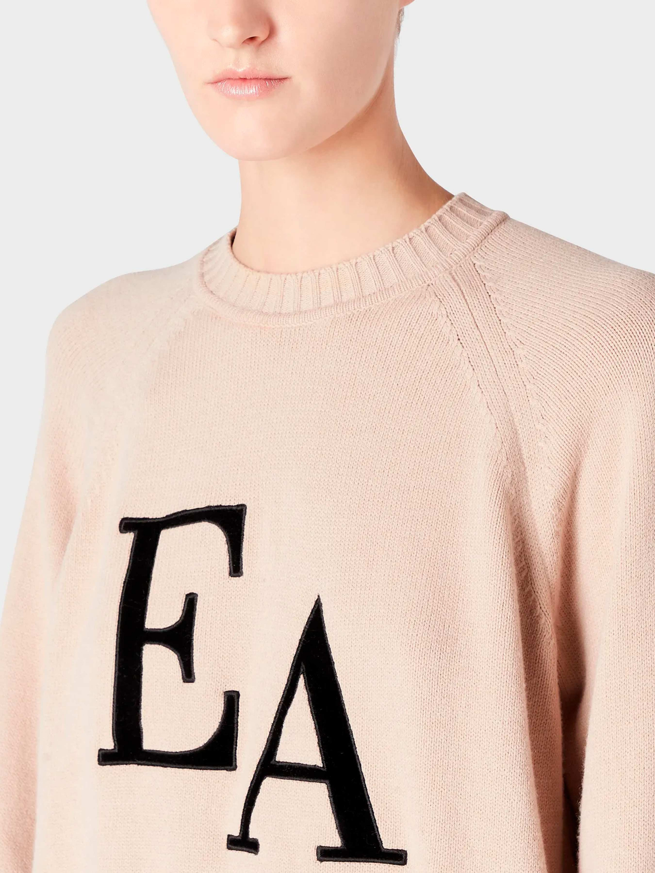 Худи и свитшоты Emporio Armani модель 8N2MYL-2MA6Z-0213 Фото
