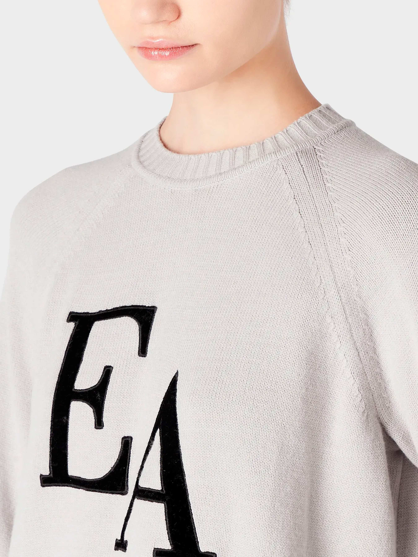Худи и свитшоты Emporio Armani модель 8N2MYL-2MA6Z-0605 Фото