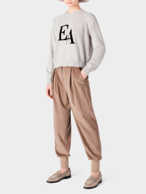 Худи и свитшоты Emporio Armani модель 8N2MYL-2MA6Z-0605 Фото