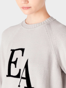 Худи и свитшоты Emporio Armani модель 8N2MYL-2MA6Z-0605 Фото