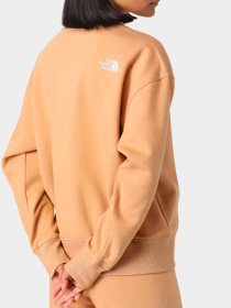Худи и свитшоты The North Face модель NF0A7ZJEI0J1 Фото