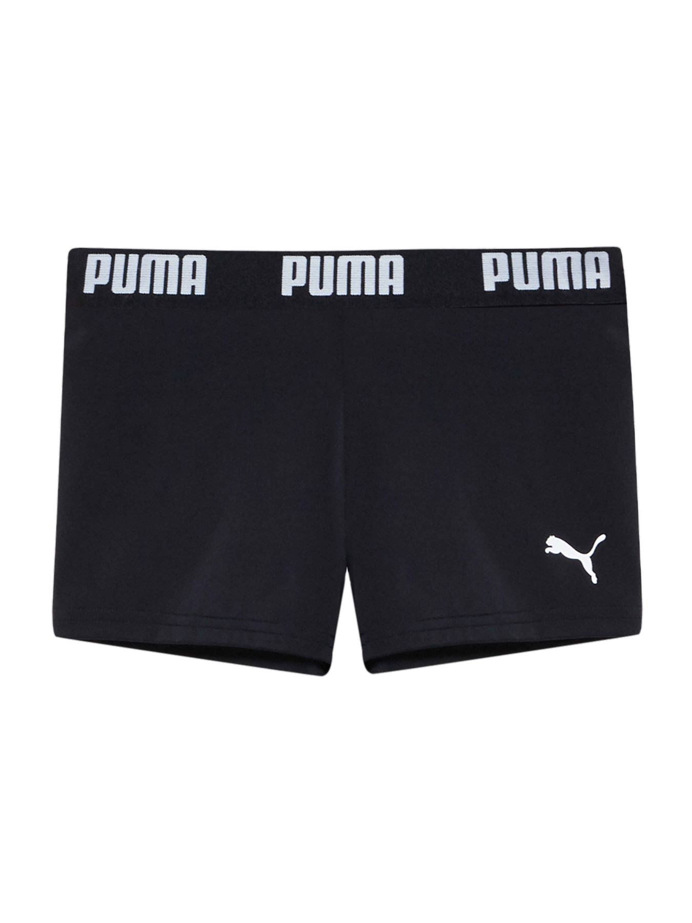 Плавки PUMA Swim Boys Logo Swim Tru модель 938139 Фото