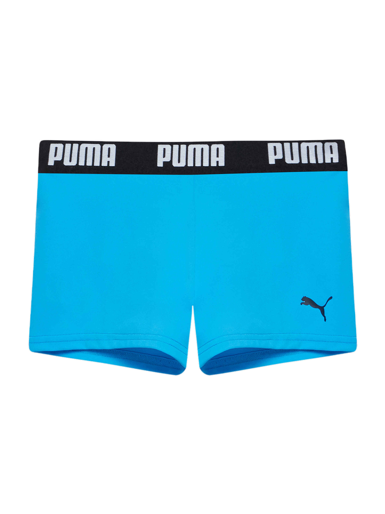 Плавки PUMA Swim Boys Logo Swim Tru модель 938139 Фото