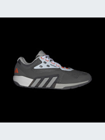 Кроссовки для тренировок Adidas модель HP7749 Фото