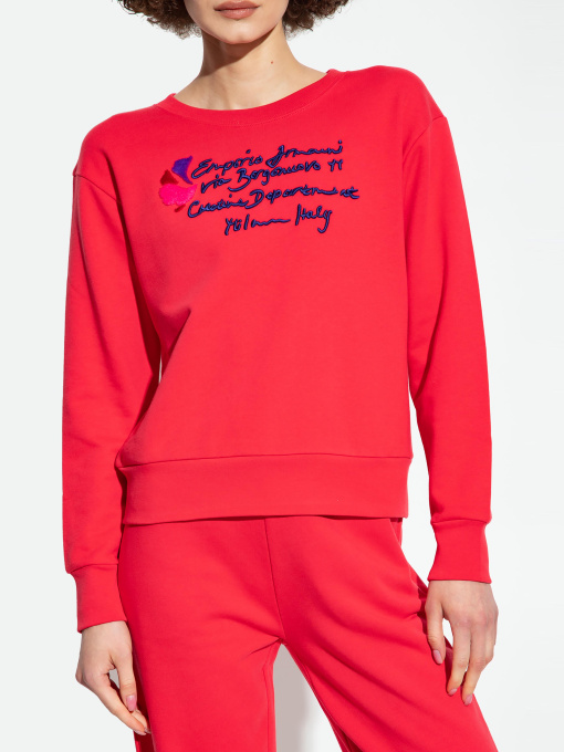 Худи и свитшоты Emporio Armani модель 6R2M7E-2J49Z-0840 Фото