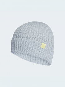 Шапка Adidas модель GT4829 Фото