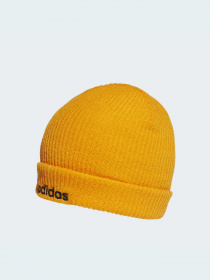 Шапка Adidas модель H34795 Фото
