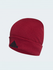 Шапка Adidas модель HF0109 Фото