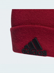 Шапка Adidas модель HF0109 Фото