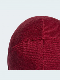 Шапка Adidas модель HF0109 Фото