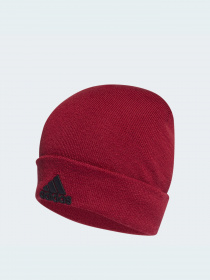 Шапка Adidas модель HF0109 Фото