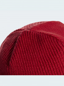 Шапка Adidas модель FS0146 Фото