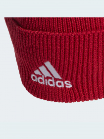 Шапка Adidas модель FS0146 Фото