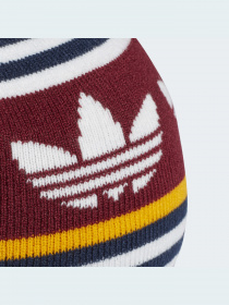 Шапка Adidas Adicolor модель GD4596 Фото