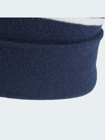 Шапка Adidas Adicolor модель GD4596 Фото