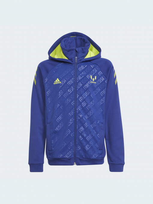 Кофта спортивная Adidas модель GT9404 Фото