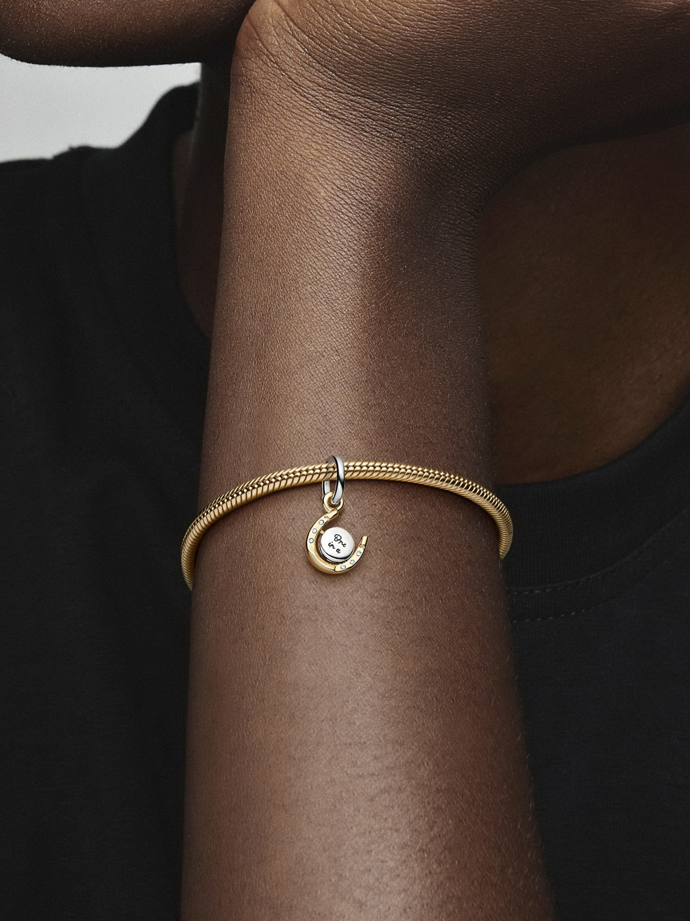 Класичні PANDORA Moments модель 762713C01 Фото