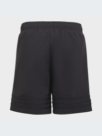 Шорты Adidas модель HE2086 Фото