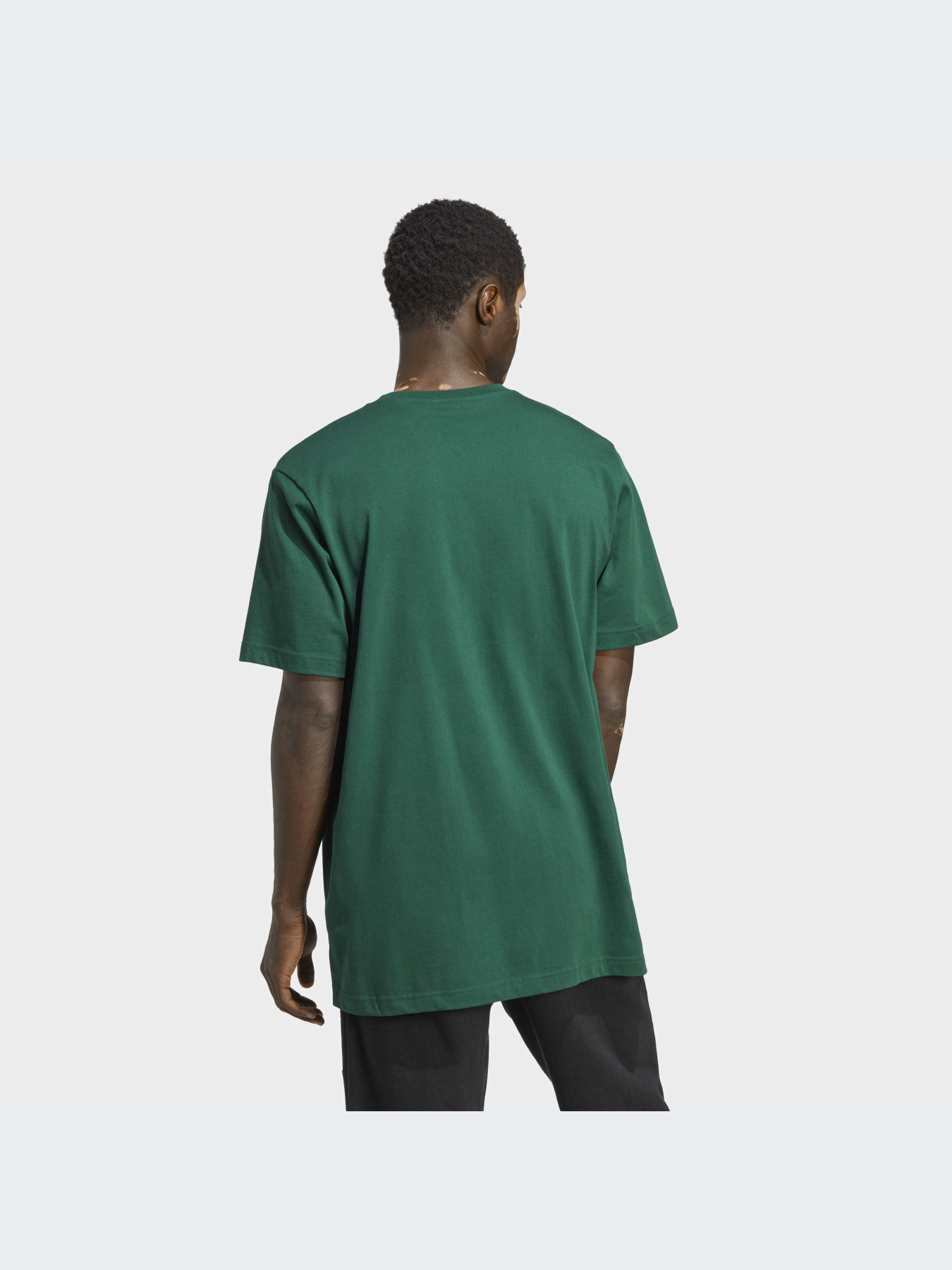 Футболка Adidas Adventure модель IC2360 Фото