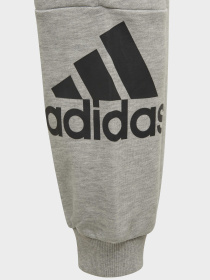 Спортивні штани Adidas модель GN4016 Фото